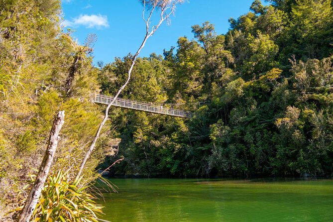 Full-Day Abel Tasman National Park Hiking Tour with Cruise - Forest tracks with the Abel Tasman guide: plants, people, and practical trail choices