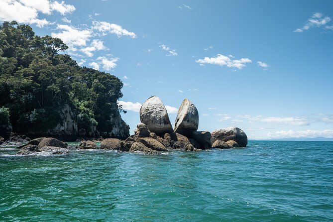 Full-Day Abel Tasman National Park Hiking Tour with Cruise - Torrent Bay estuary to Anchorage: short, scenic, and potentially wet