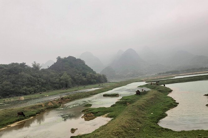 Full-Day Cuc Phuong National Park Hiking Tour - Primary Forest Hike: The Big Ancient Tree Moment