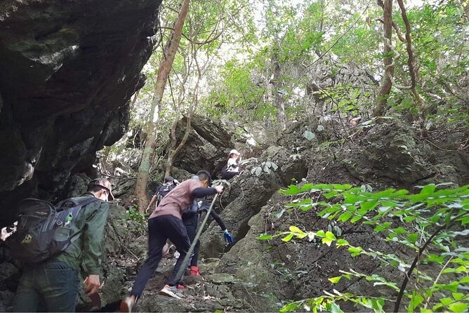 Full-Day Cuc Phuong National Park Hiking Tour - Prehistoric Cave Area: Walking Through Time (Without Overdoing It)