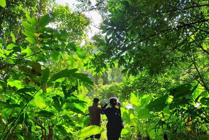Full-Day Cuc Phuong National Park Hiking Tour - Guide Service and Group Size: Where Quality Shows