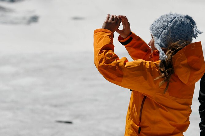 Full Day Guided Glacier Hike on The Athabasca with IceWalks - The 10 km Athabasca Walk: Crevasses, Meltwater, and Icefalls