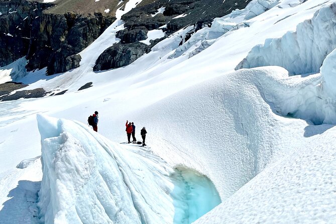 Full Day Guided Glacier Hike on The Athabasca with IceWalks - Price and Value: What You’re Really Paying For