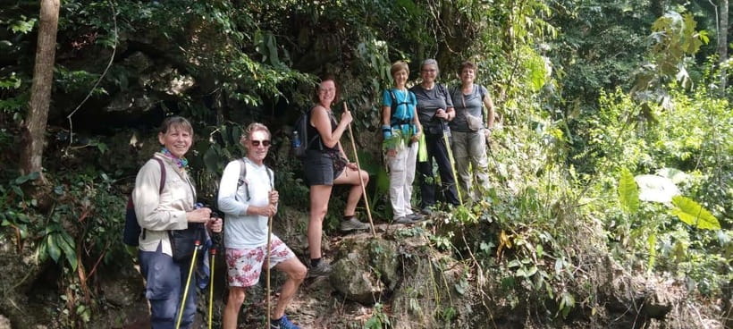 Full day hike - climbing in Jungle of Cat Ba National park - Cat Ba National Park’s land-and-sea layout is the real draw
