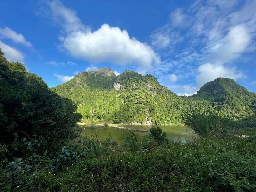 Full day hike - climbing in Jungle of Cat Ba National park - The main trek: 6 km, three mountains, and a pace that can be adjusted