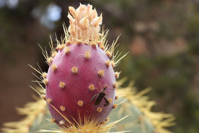 Full Day Hike in Joshua Tree National Park - A long day, but not the same experience for everyone