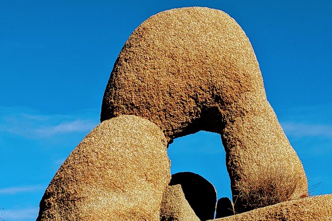 Full Day Hike in Joshua Tree National Park - Timing, seasons, and heat: how to make the day feel better