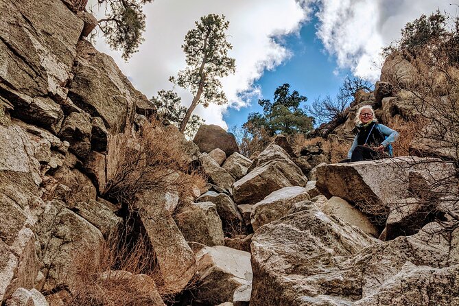 Full Day Hike in Joshua Tree National Park - Safety and peace of mind, without sounding dramatic