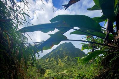 Full Day Hike Tour from Dominica - Stop 1: The Boiling Lake Hike (6–8 Hours, Guided, Ticket Included)