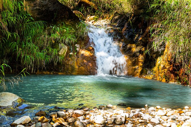 Full Day Hike Tour from Dominica - Price and Value: Is $120 Worth It?