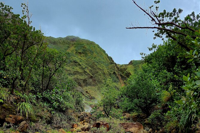 Full Day Hike Tour from Dominica - Weather, Safety, and the Smart Flexibility Factor