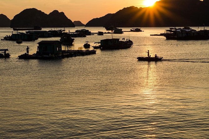 Full day hikes, Cycles, Kayaks & swims in Cat Ba National park - How the Day Moves: From Forest Trek to Lan Ha Bay Water Time