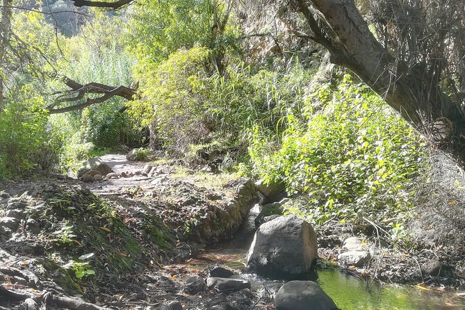 Full day Hiking and Waterfalls Experience - What Makes This Full-Day Waterfalls Hike Worth Your Time