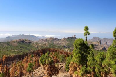 Full day Hiking Gran Canaria Peaks of Gran Canaria - Pickup, Timing, and the Maspalomas Start