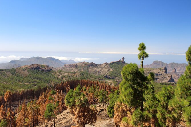 Full day Hiking Gran Canaria Peaks of Gran Canaria - What the Trail Feels Like: Tempo, Breaks, and Terrain