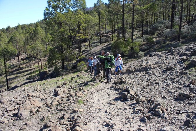 Full day Hiking Gran Canaria Peaks of Gran Canaria - Views You Can Plan For: Roque Nublo, the South Coast, and Teide on Clear Days
