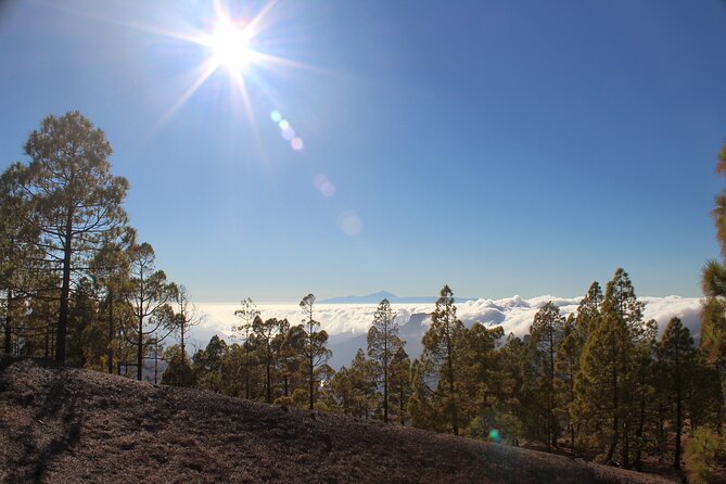Full day Hiking Gran Canaria Peaks of Gran Canaria - Stop 1: Maspalomas and Why It Matters