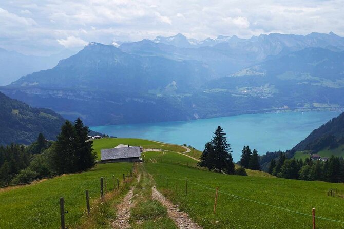 Full-Day Hiking Swiss Alps and Lake swim with Pick-up - Why this Lucerne hike pairs Alps views with a lake swim