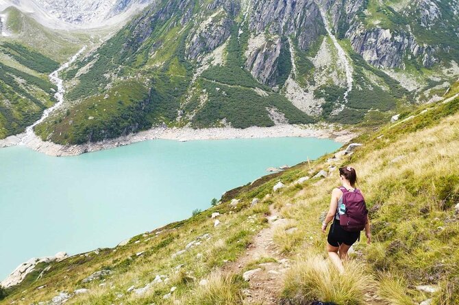 Full-Day Hiking Swiss Alps and Lake swim with Pick-up - Who should book this Alps hike and Lake Lucerne swim