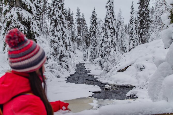 Full Day Hiking to Korouoma Canyon & Frozen Waterfalls - What the small group size means for your comfort and photos