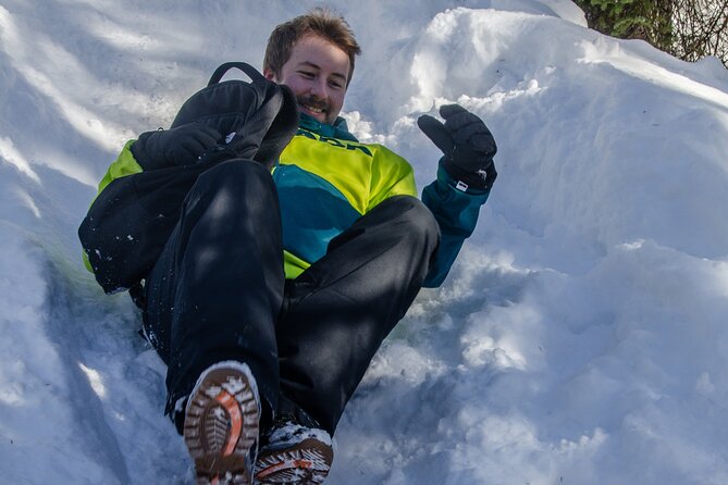 Full Day Hiking to Korouoma Canyon & Frozen Waterfalls - Timing and weather: when this day goes right