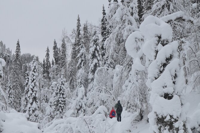 Full Day Hiking to Korouoma Canyon & Frozen Waterfalls - Who should book this Korouoma frozen waterfall hike?