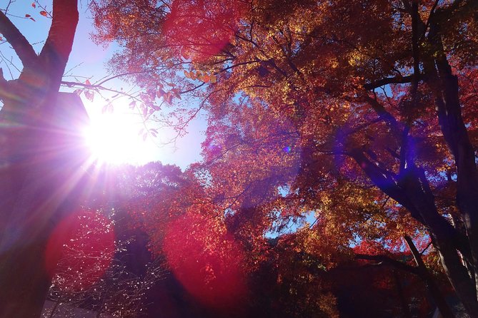 Full Day Hiking Tour at Mt.Takao including Hot Spring - Meeting at Takaosanguchi Station and Setting Your Pace
