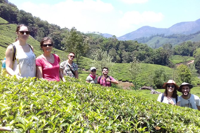 Full day in hiking in Munnar (By Munnar Info) - Price and what you actually get for around $28