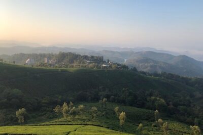 Full day in hiking in Munnar (By Munnar Info) - Meeting in Moolakadai and how the day tends to flow