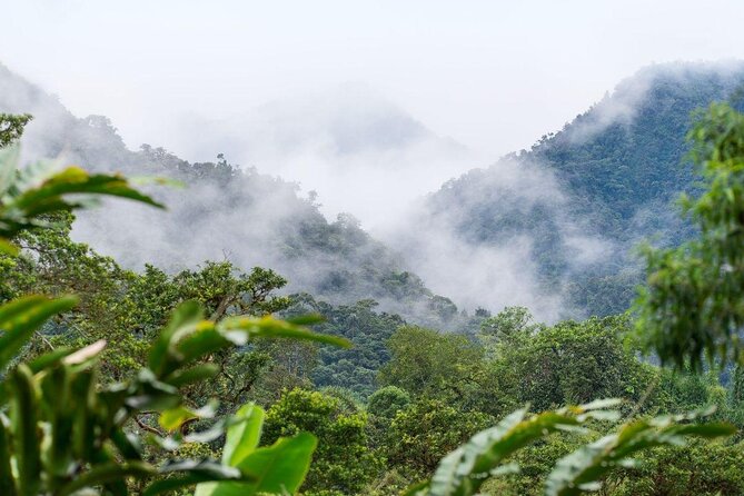 Full-Day Mindo Cloud Forest Tour Birdwatching Waterfalls and Hike - Mindo’s cloud forest day starts with Pululahua crater views
