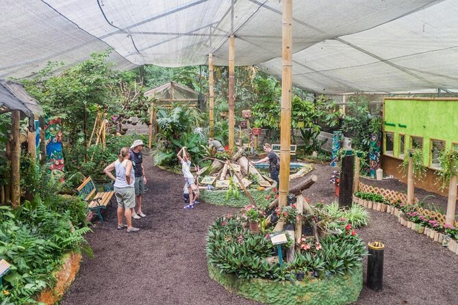 Full-Day Mindo Cloud Forest Tour Birdwatching Waterfalls and Hike - Price and value: what you’re really paying for at $189