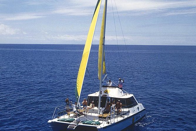 Full Day Oahu Bike, Hike, Sail and Snorkel Combo - Snorkeling on the Reef: Gear Included, Technique Still Your Job