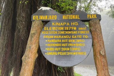 Full Day Private Hiking Tour to Kilimanjaro Mountain - Moshi or Arusha pickup: why the road time matters