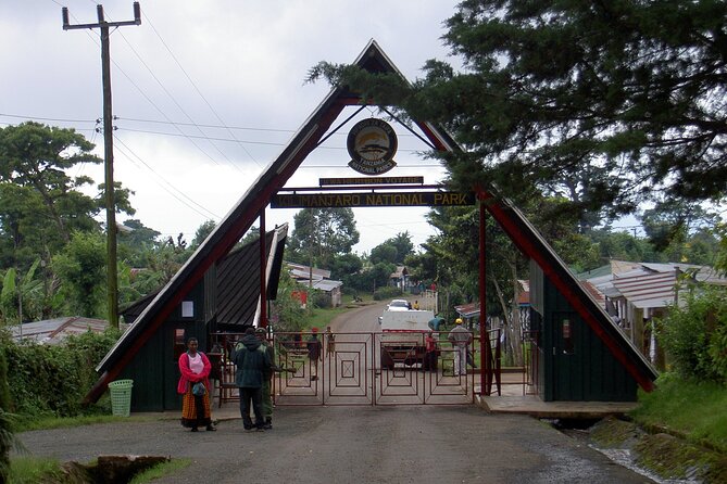 Full Day Private Hiking Tour to Kilimanjaro Mountain - Descend to the Main Gate, then unwind with Kilimanjaro beer
