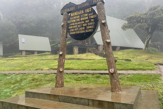 Full Day Private Hiking Tour to Kilimanjaro Mountain - How long is this, really? Timing and expectations you should set