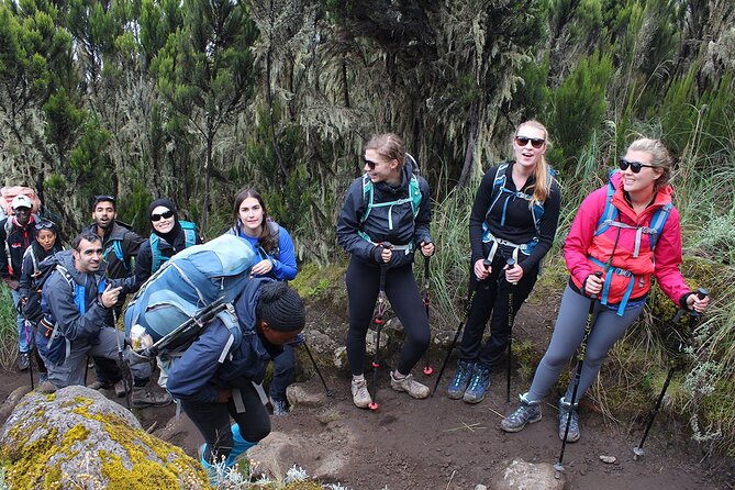 Full Day Private Hiking Tour to Kilimanjaro Mountain - Final verdict: should you book this Kilimanjaro first-leg tour?
