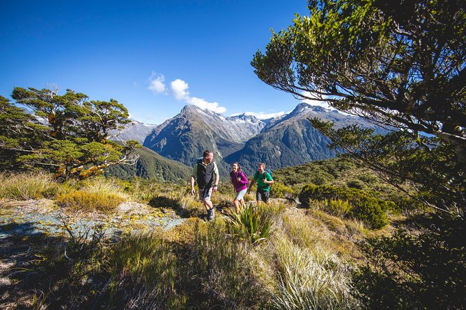 Full-Day Routeburn Track Key Summit Guided Walk from Te Anau - Key Points to Know Before You Walk to Key Summit