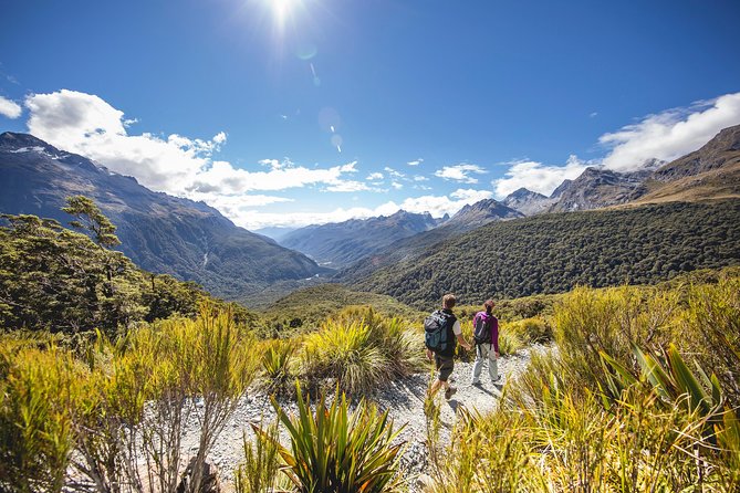Full-Day Routeburn Track Key Summit Guided Walk from Te Anau - What You’ll Really See: Alpine Herbs, Forest, and a Divide Between Worlds