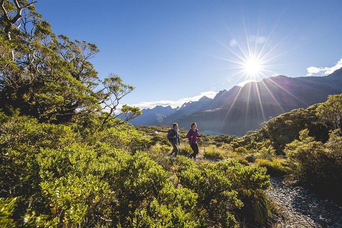 Full-Day Routeburn Track Key Summit Guided Walk from Te Anau - Guide Quality and Small Group Energy: Why It Feels Less Like a Bus Tour