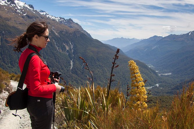 Full-Day Routeburn Track Key Summit Guided Walk from Te Anau - What to Pack (So You Don’t Lose the Summit Moment to Discomfort)