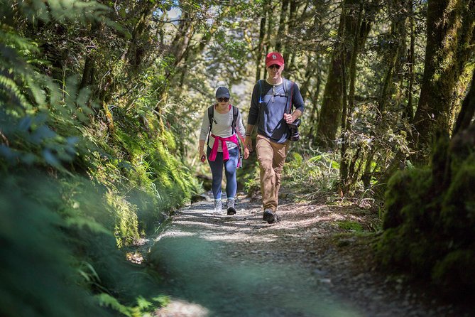 Full-Day Routeburn Track Key Summit Guided Walk from Te Anau - Getting From Te Anau to the Divide Shelter (No Stress, Few Waits)