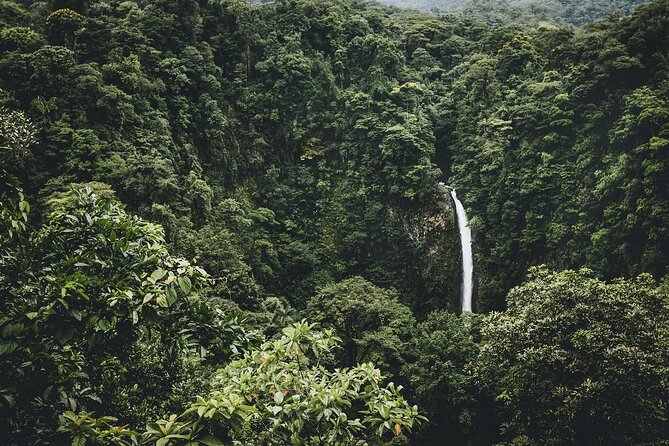 Full Day Tour with Safari Float, Waterfall and Volcano Hike - Quick Hits: What Makes This Tour Worth Your Day
