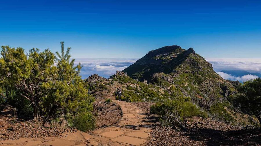 Funchal: PR1.2 Pico Ruivo & Achada Teixeira Hiking Transfer - Key points worth knowing