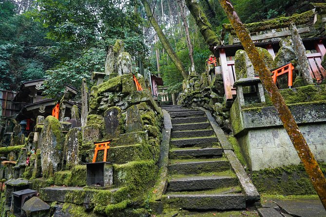 Fushimi Inari Hidden Hiking Tour (Private Option Available) - The bamboo forest moments: why this part feels so worthwhile