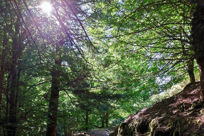 Gastro hike (Private Tour) - The Levada Hike Itself: 3.5 km or 5.5 km, Tailored to Your Legs