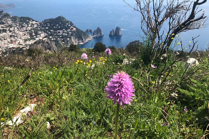 Gastronomic Hike on the Path of the Gods with Food Tasting - Price ($179.74) and the Value Math That Actually Works