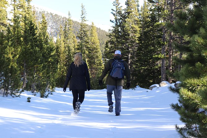 Glacier Hiking & Geothermal Cave Pools Tour - Included vs. Not Included: What You’ll Actually Pay For