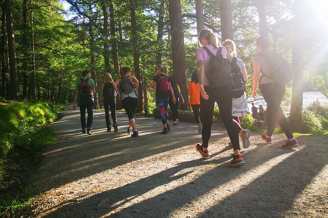 Glendalough Night Hike and History Tour - Stargazing after dark: a payoff, not an add-on