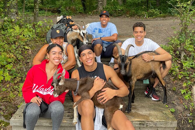 Goat Hiking, Beaver Dam Visit and picnic in Quebec forest - Goat hiking in Quebec: what makes it different