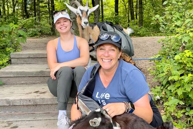 Goat Hiking, Beaver Dam Visit and picnic in Quebec forest - Forest picnic with fresh goat cheese: what to expect